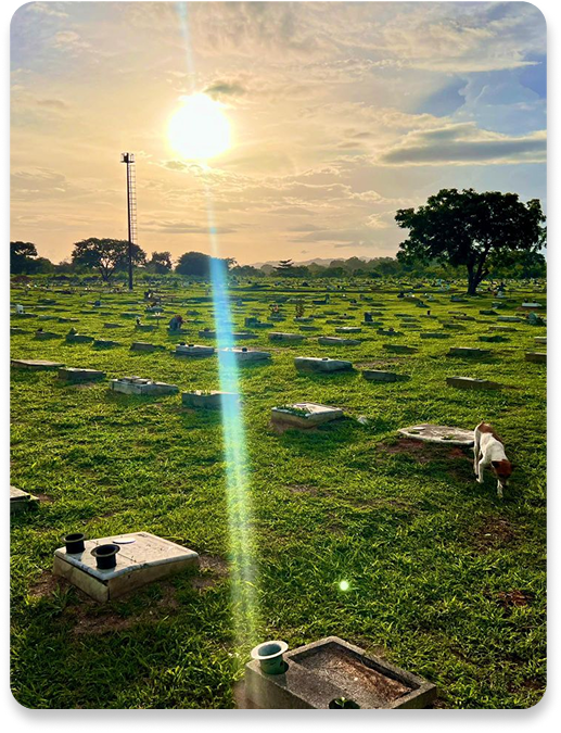 Jardines el Edén 1